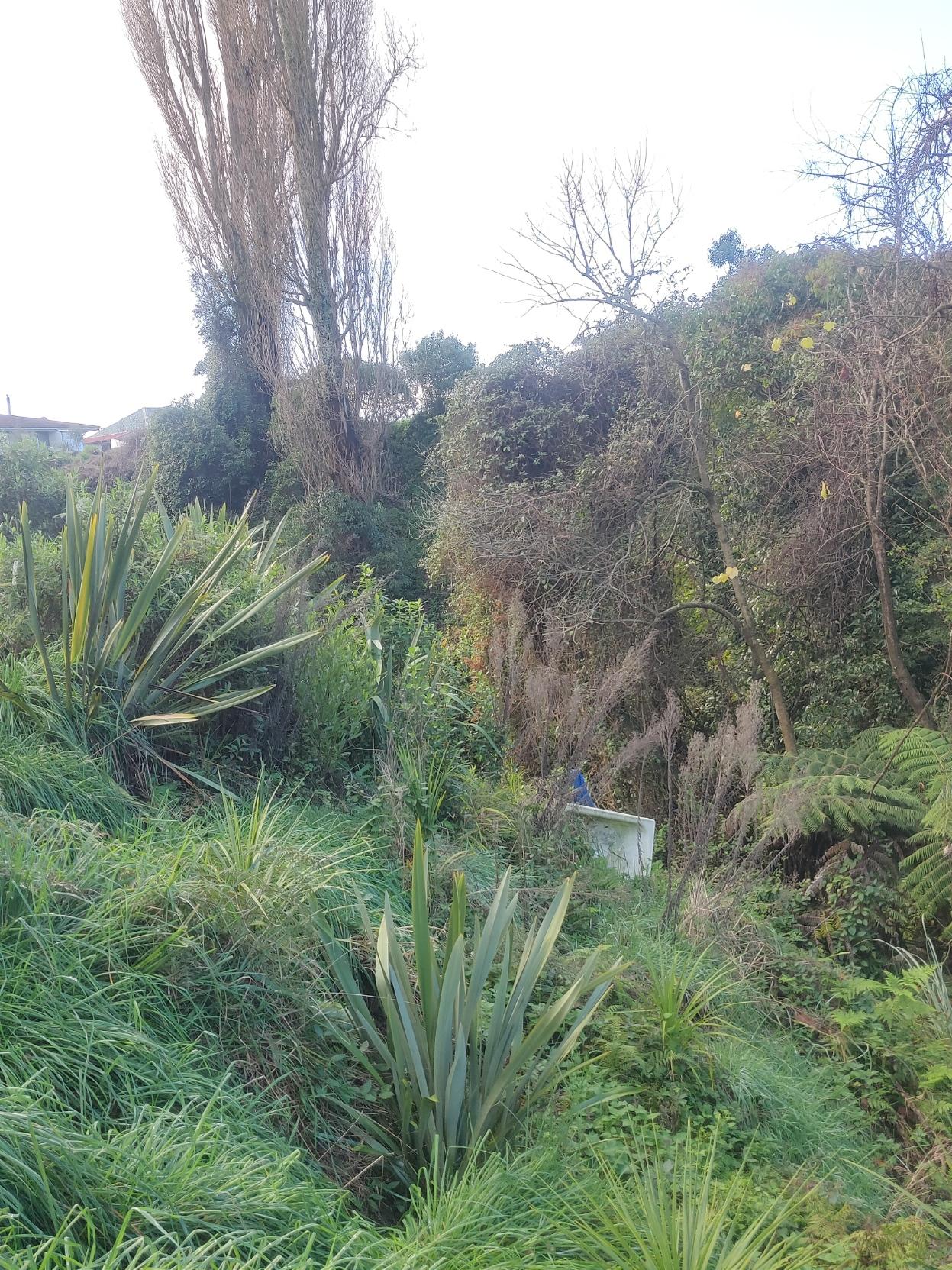 A bath, perched on its edge, on the side of a steep, bushclad gully.
