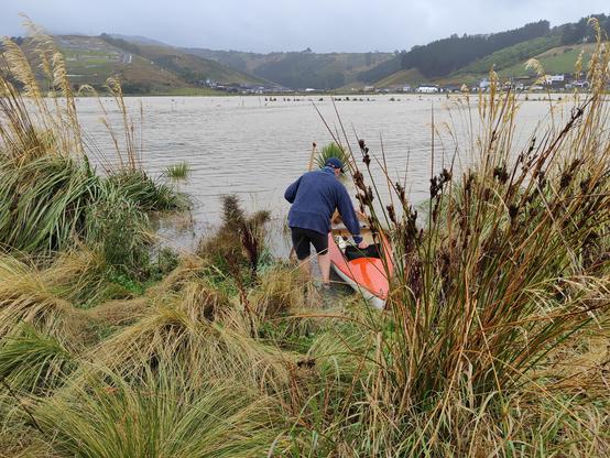 Same bloke, on the shore, back to camera, about to climb into the canoe in among the reeds and grasses. This is normally a dry wetland with walking tracks, currently under water.