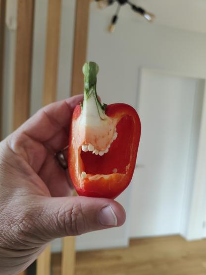 Photo of a hand holding a quarter of a red bell pepper/capsicum that, with seeds appearing to be teeth, flesh appearing like a curled lip and stem like nose and eyes, looks quite a lot like it's screaming in desperation. 