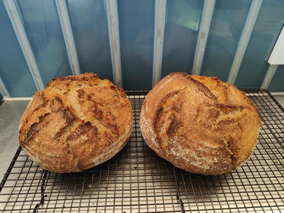 Same two russet loaves on a metal cooling rack resting on a stainless steel benchtoo in front of a ceramic tile wall .