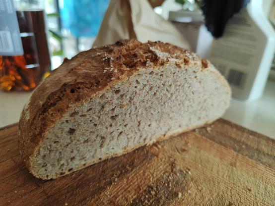 Half of a round loaf of sourdough, viewing the crumb from cutting board level. Bread is locally grown and ground wheat plus rye, and amarinth (ragi) flour, salt, rye sourdough (probably 12yo by this stage) and good Ōtautahi water. Delish. 