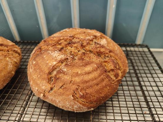 Close up of round reddish brown bread loaf with strong salted crust sitting on a wire rack on a stainless steel benchtop with vertical blue tiles on the wall behind. Bread is rye + locally ground wheat + a bit of spelt and amaranth flour, salt and water... And some of my venerable rye starter. 